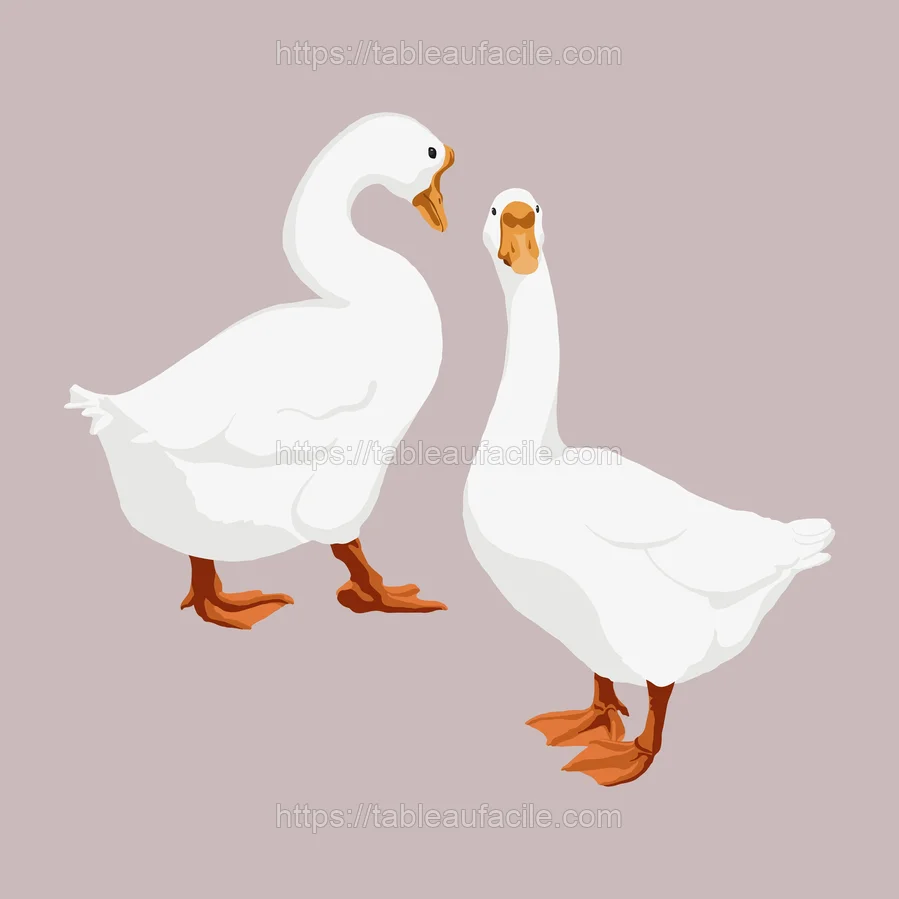 aanimals119 apercu