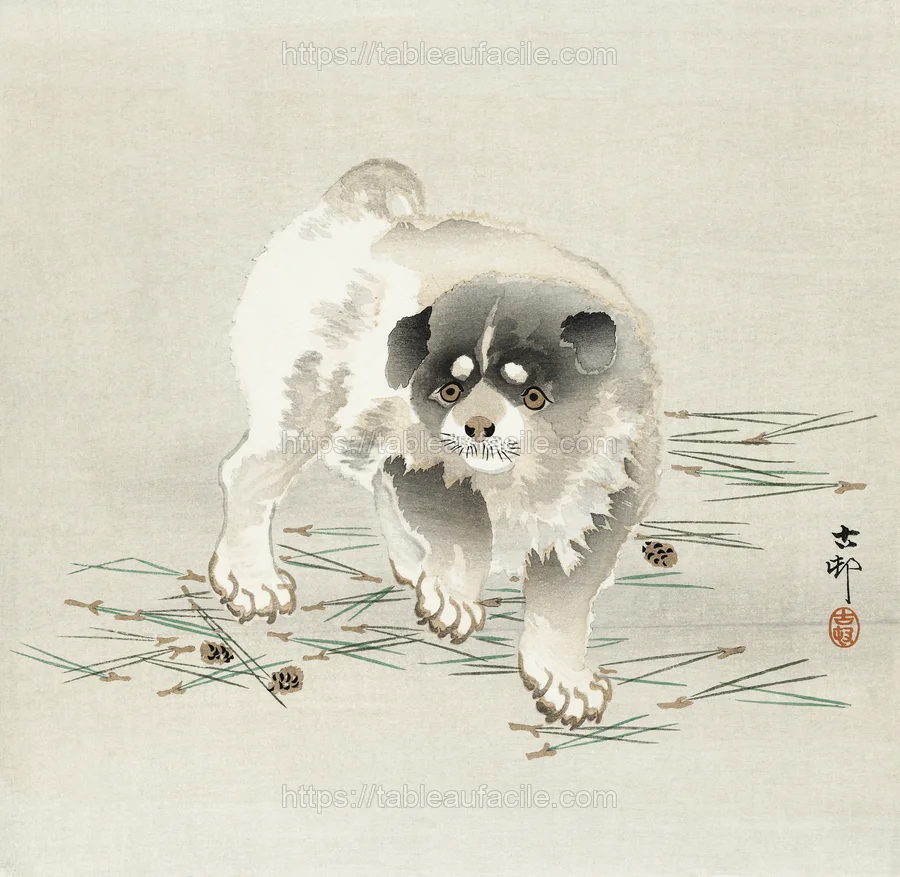 animals (202) apercu
