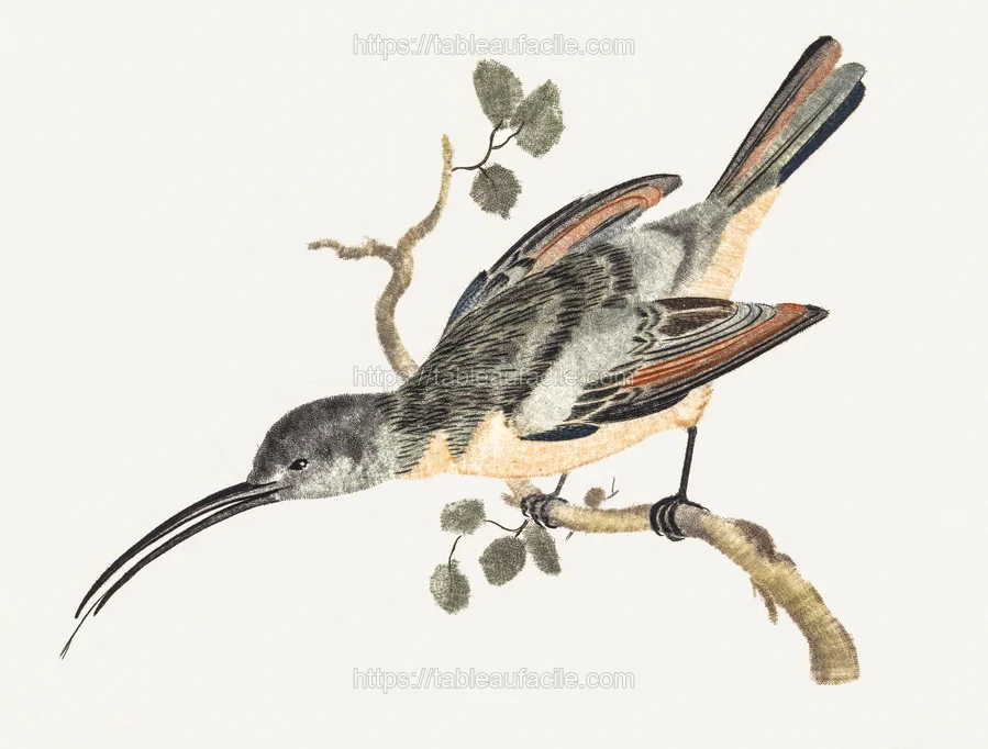 animals (247) apercu