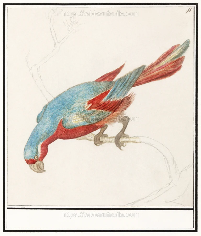 animals (297) apercu