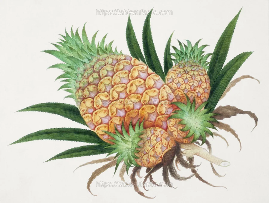 fruitss (167) apercu