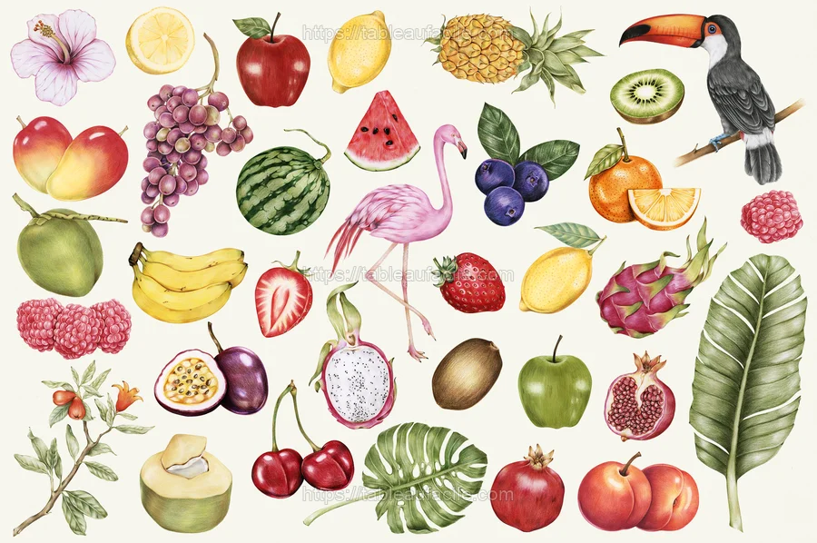 fruitss (199) apercu