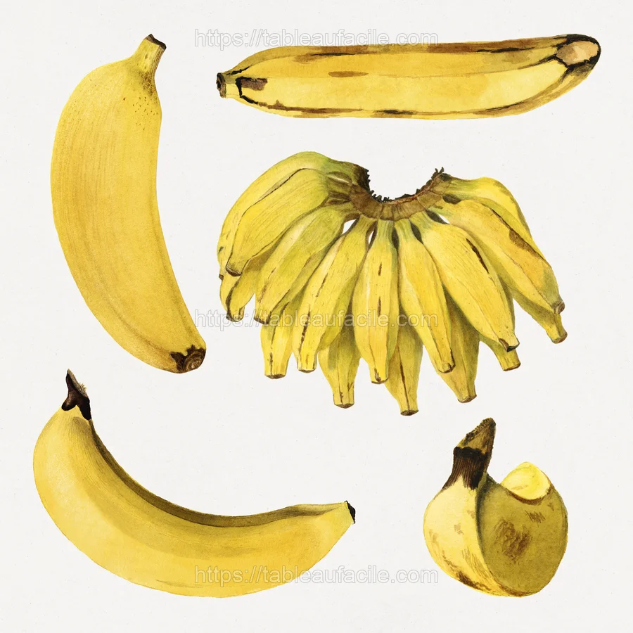 fruitss (311) apercu
