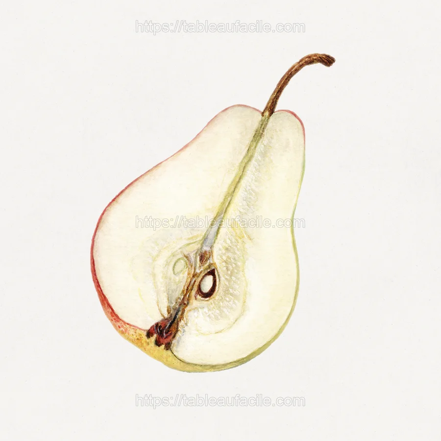fruitss (325) apercu