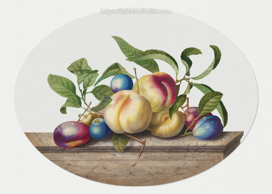 fruitss (356) apercu