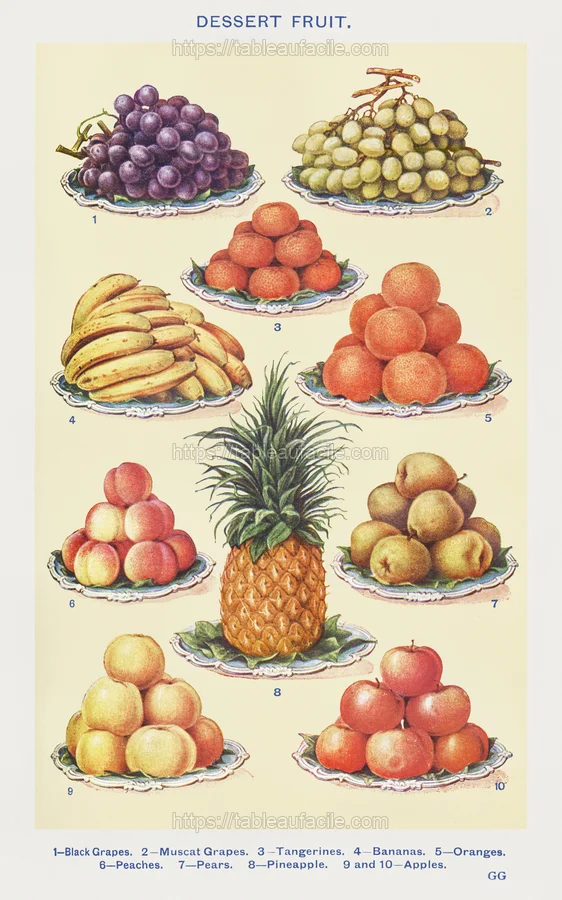 fruitss (358) apercu