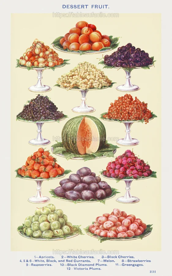 fruitss (359) apercu