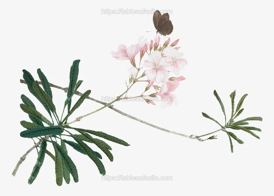221.pastel apercu