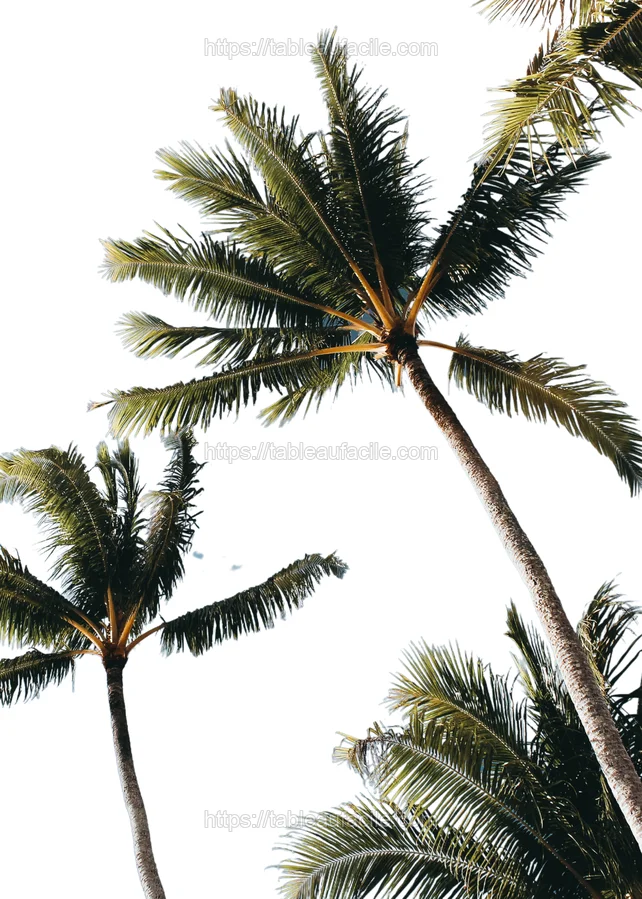 Beach House 1 293 apercu