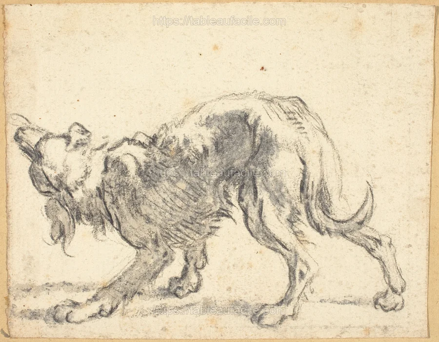 a_dog_2009.70.211 apercu