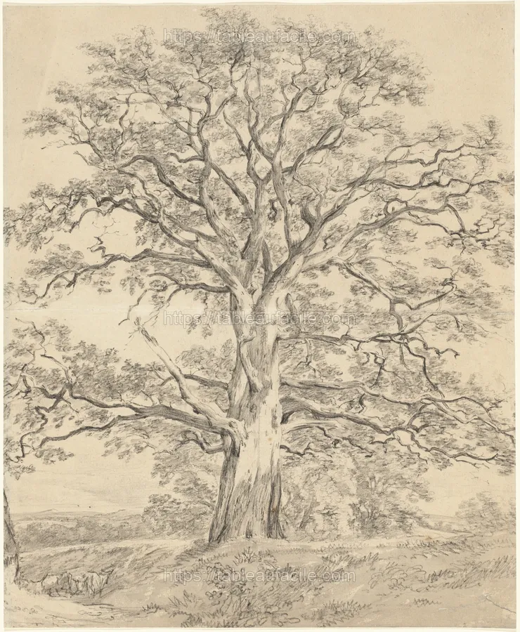 a_great_oak_tree_1985.9.1 apercu