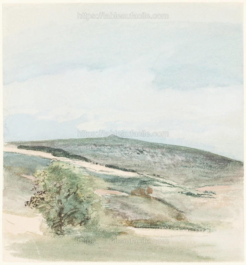 a_heath_in_sussex_2000.71.1 apercu