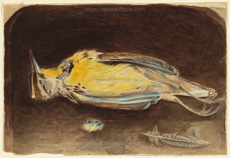 dead_bird_2018.44.42 apercu