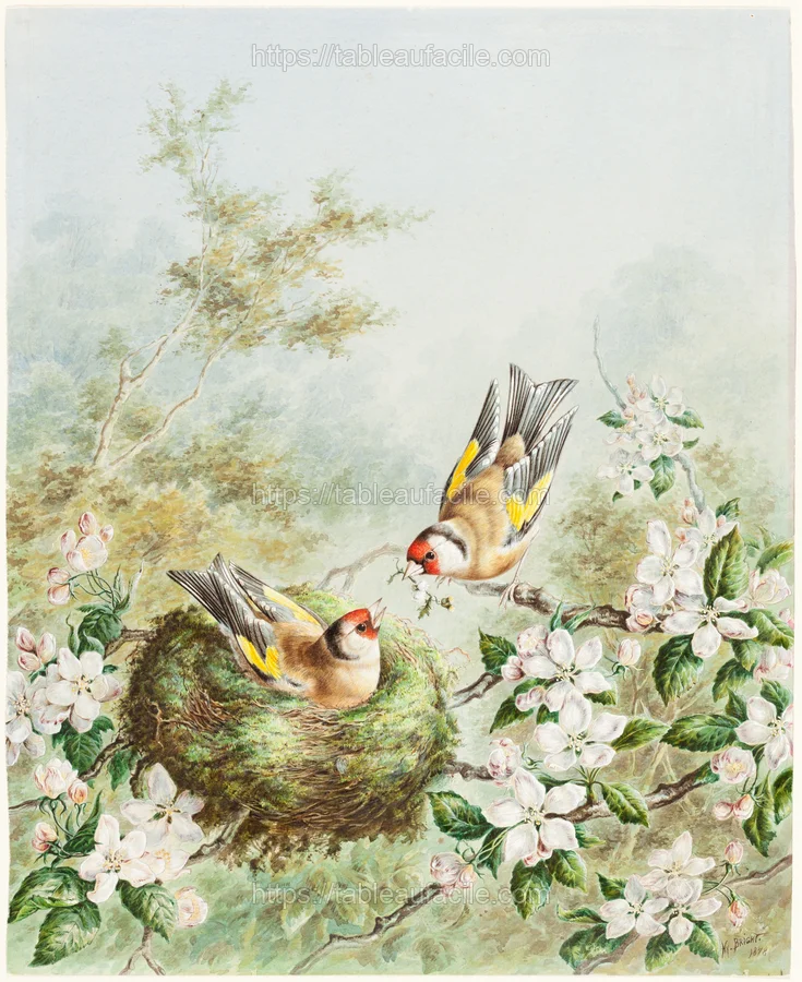 gold_finches_and_their_nest_in_an_apple_tree_1988.20.8 apercu