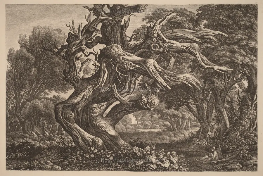 a_dead_oak_tree_2012.92.325 apercu