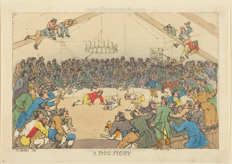 a_dog_fight_1945.5.1191 apercu