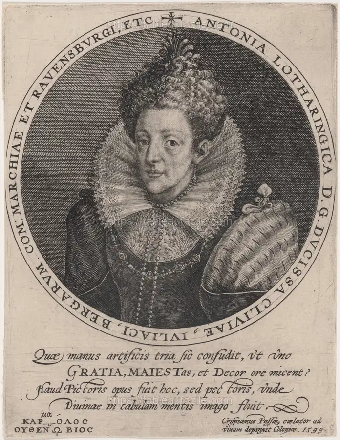 antonia_lotharingica_1950.14.60 apercu