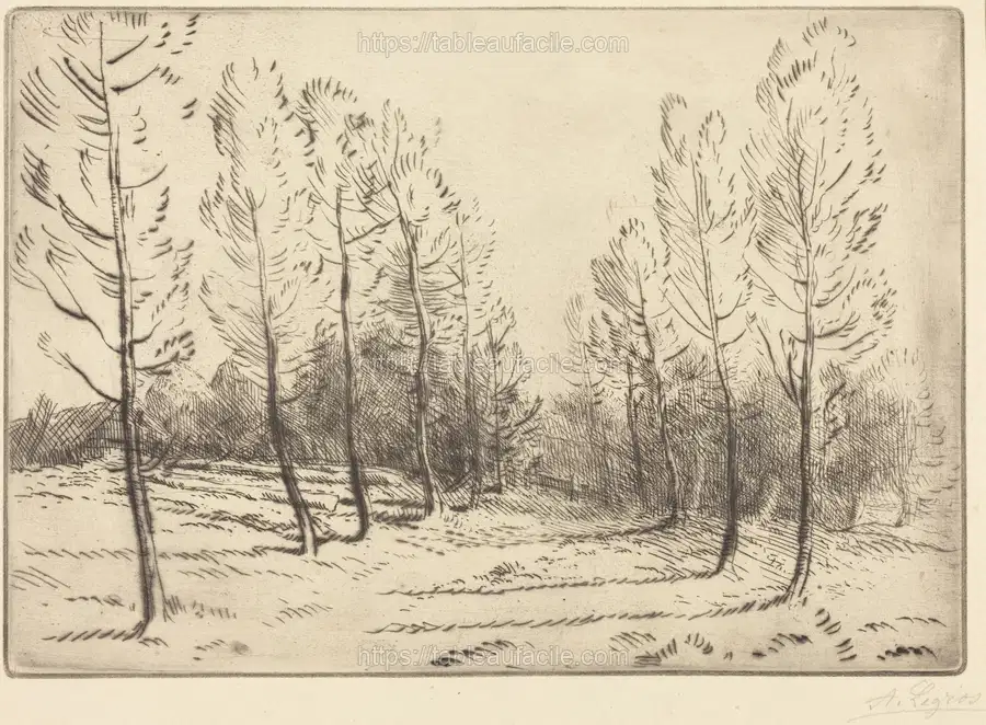 avenue_of_poplars_(l_allee_de_peupliers)_1946.4.29 apercu