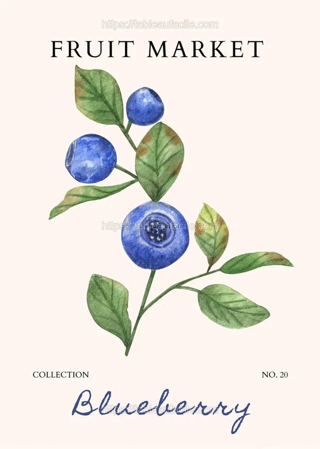 Copy of 25 apercu