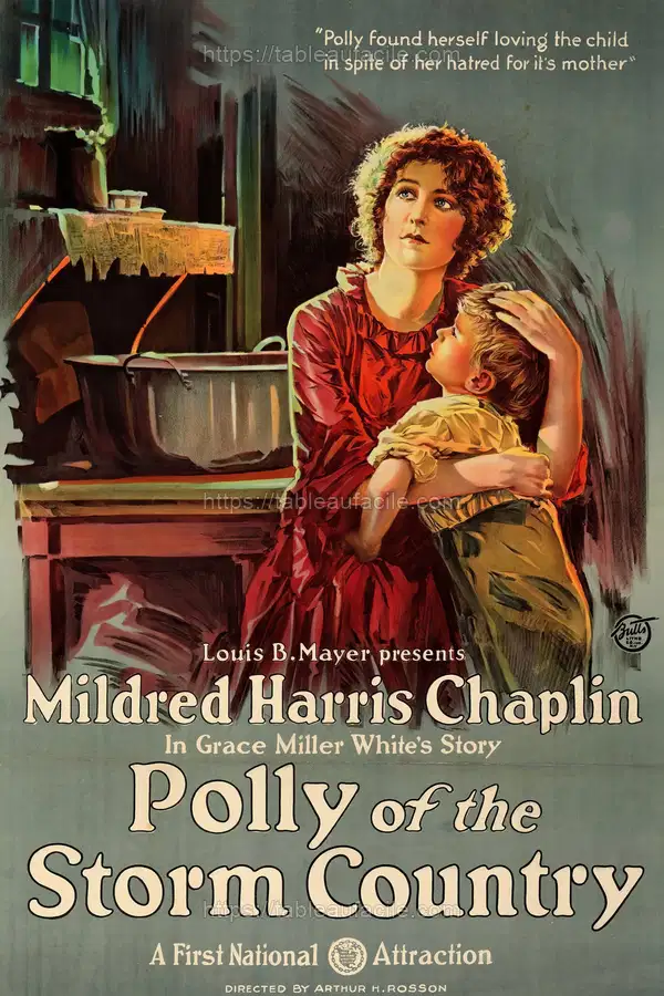 Polly of the Storm Country (1920) apercu