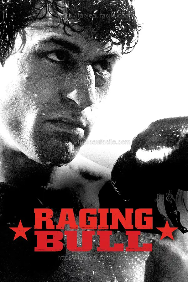 Raging Bull (1980) apercu