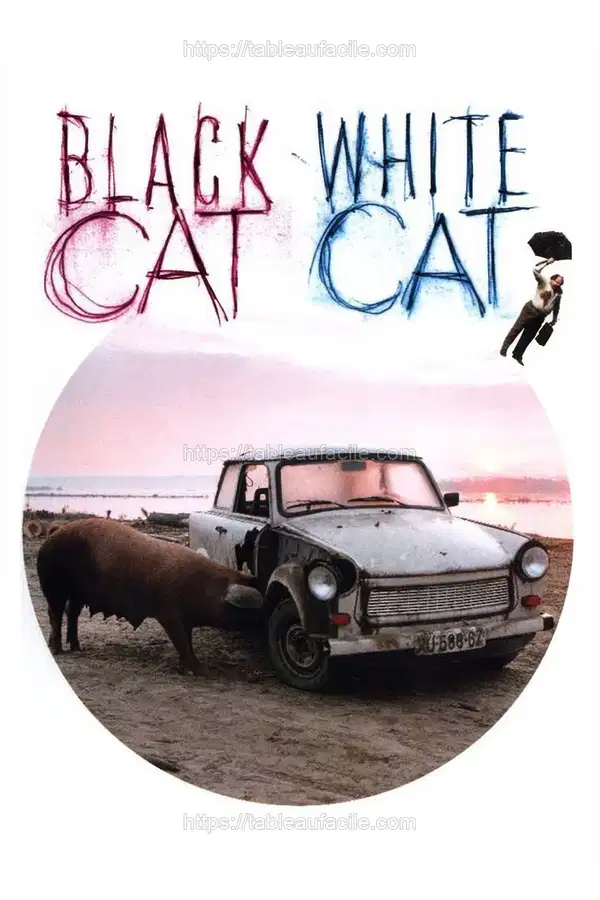 Black Cat, White Cat (1998) apercu