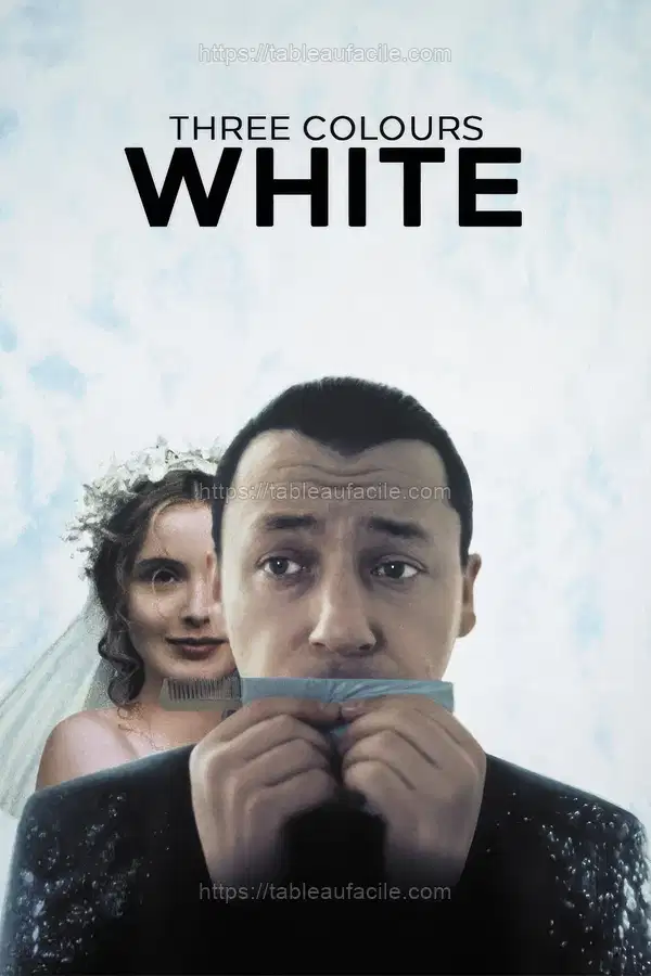 Three Colors White (1994) apercu