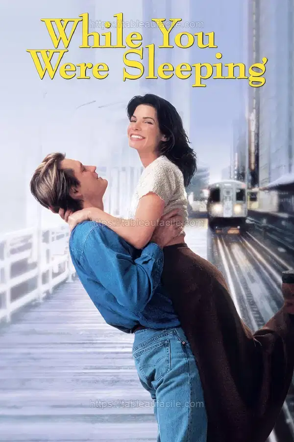 While You Were Sleeping (1995) apercu