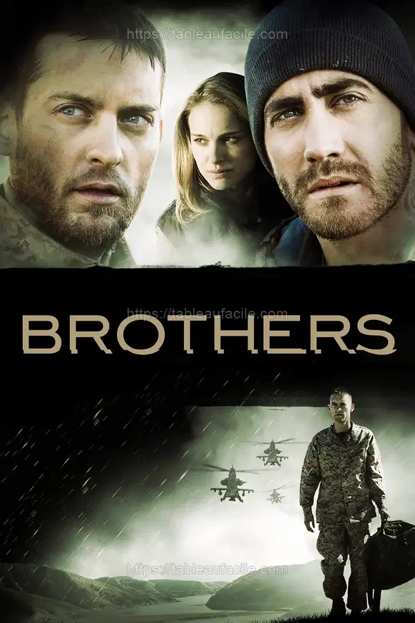 Brothers (2009) apercu