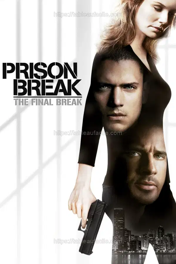 Prison Break The Final Break (2009) apercu