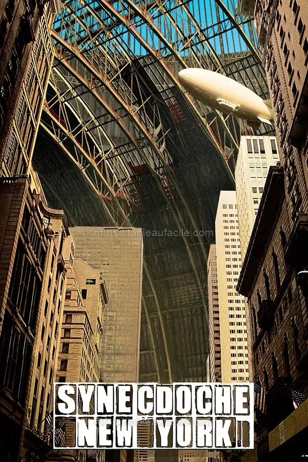 Synecdoche, New York (2008) apercu