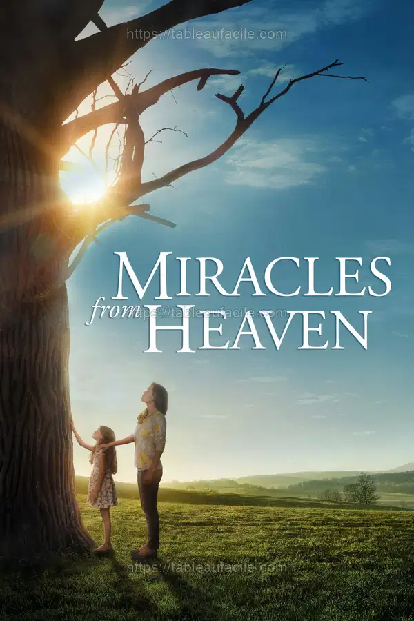 Miracles from Heaven (2016) apercu