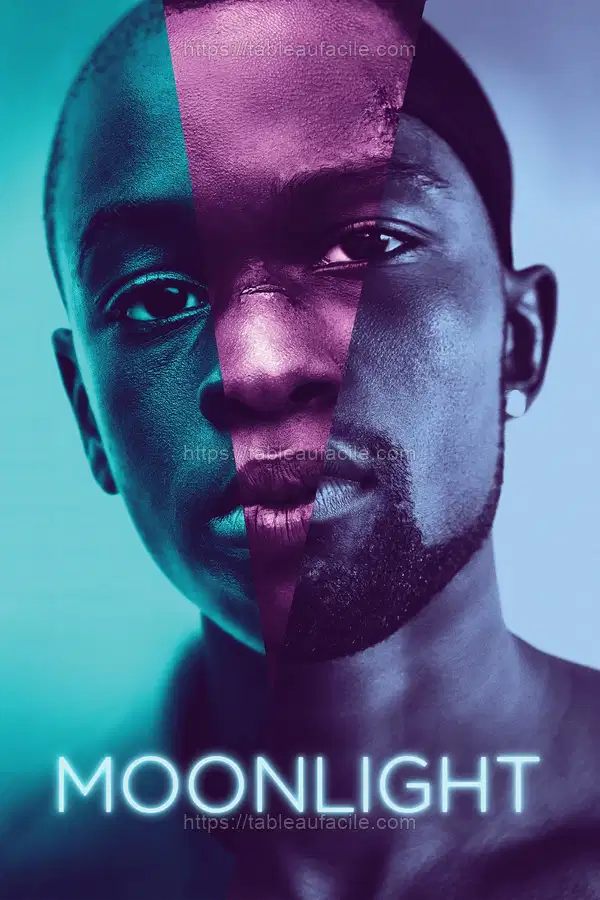Moonlight (2016) apercu