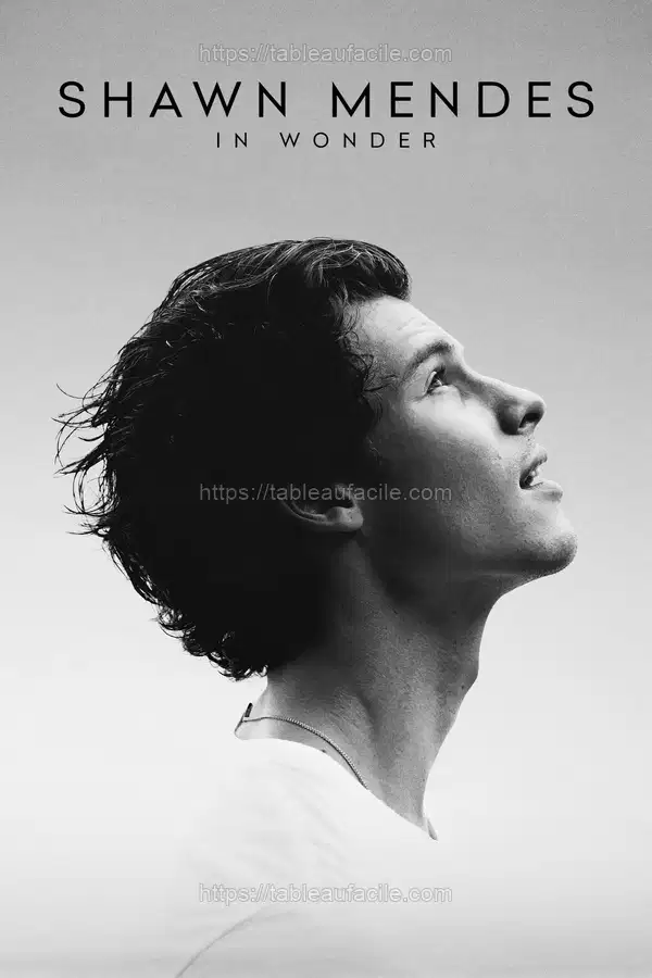 Shawn Mendes In Wonder (2020) apercu