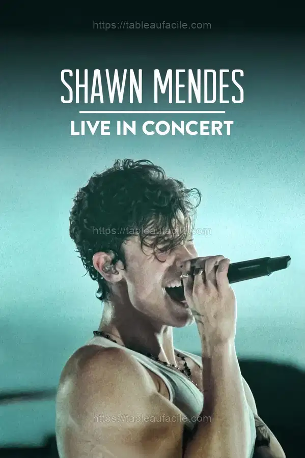 Shawn Mendes Live in Concert (2020) apercu