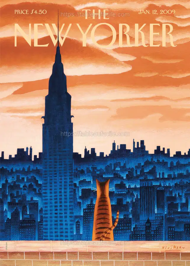 The New Yorker (16) apercu
