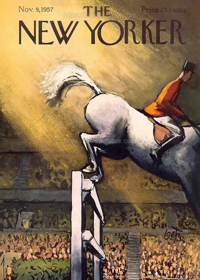 The New Yorker (48) apercu