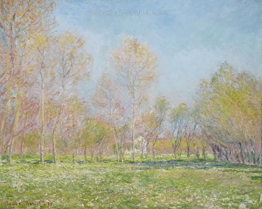 spring (50) apercu