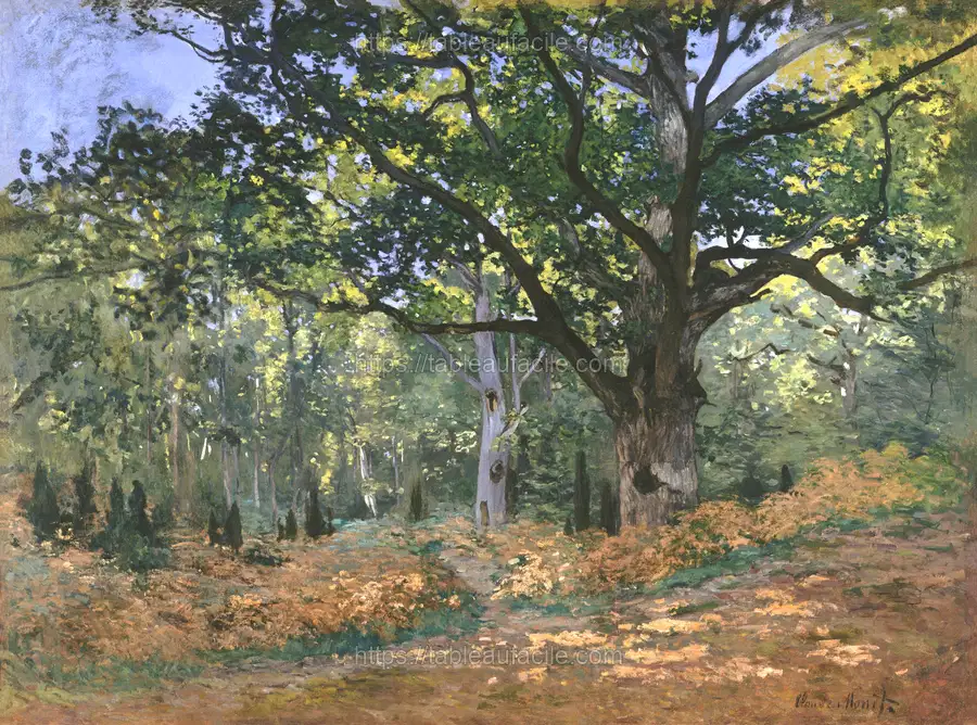 Monet (17) apercu