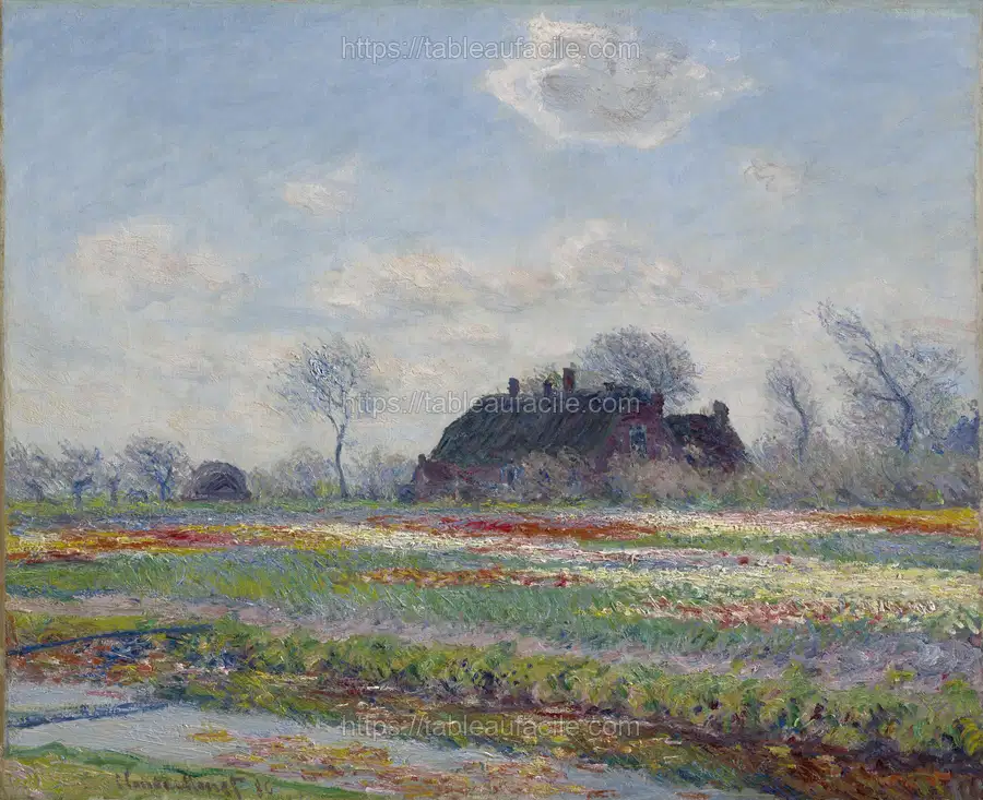Monet (91) apercu