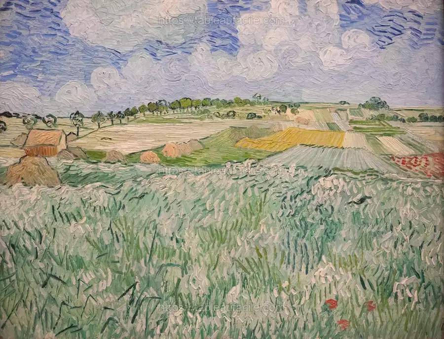 Van Gogh (43) apercu