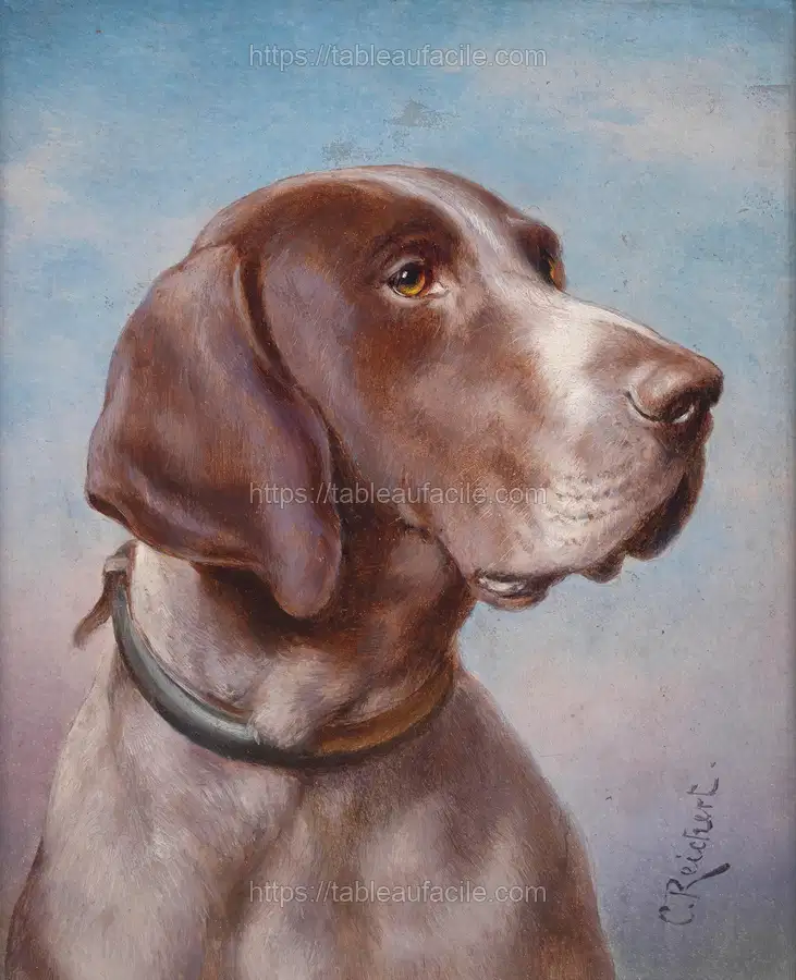 Hundeportrait apercu