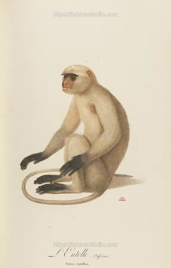 L’Entelle (1797) apercu