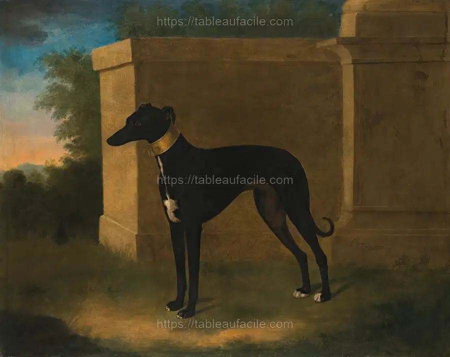 Portrait Of A Greyhound, Called Pompon (1746) apercu