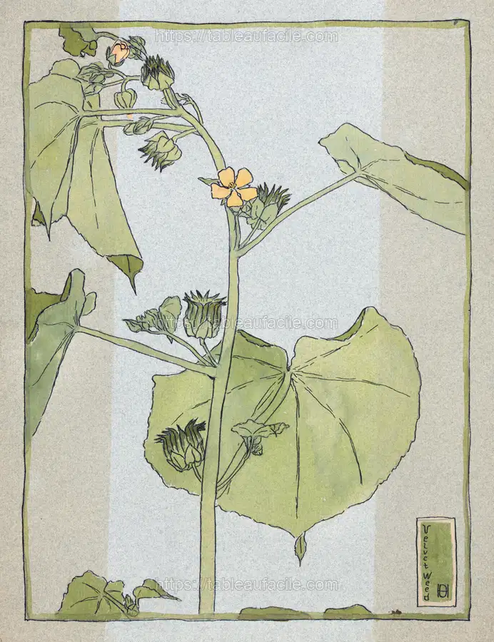 Velvet Weed (1915) by Hannah Borger Overbeck apercu