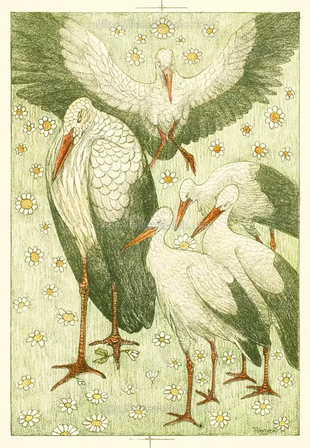 Vijf ooievaars in een wei (ca. 1878–1917) print by Theo van Hoytema apercu
