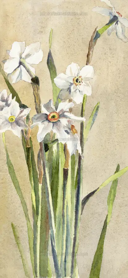 White Narcissus with Gray Accents (1915) by Hannah Borger Overbeck apercu