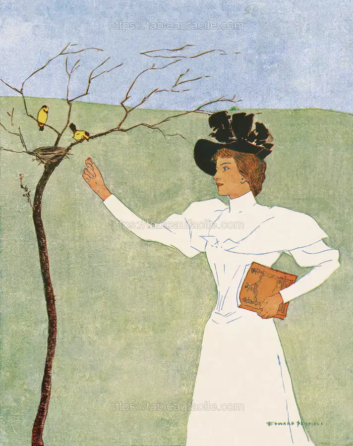 Woman reaching for birds (1894) by Edward Penfield apercu