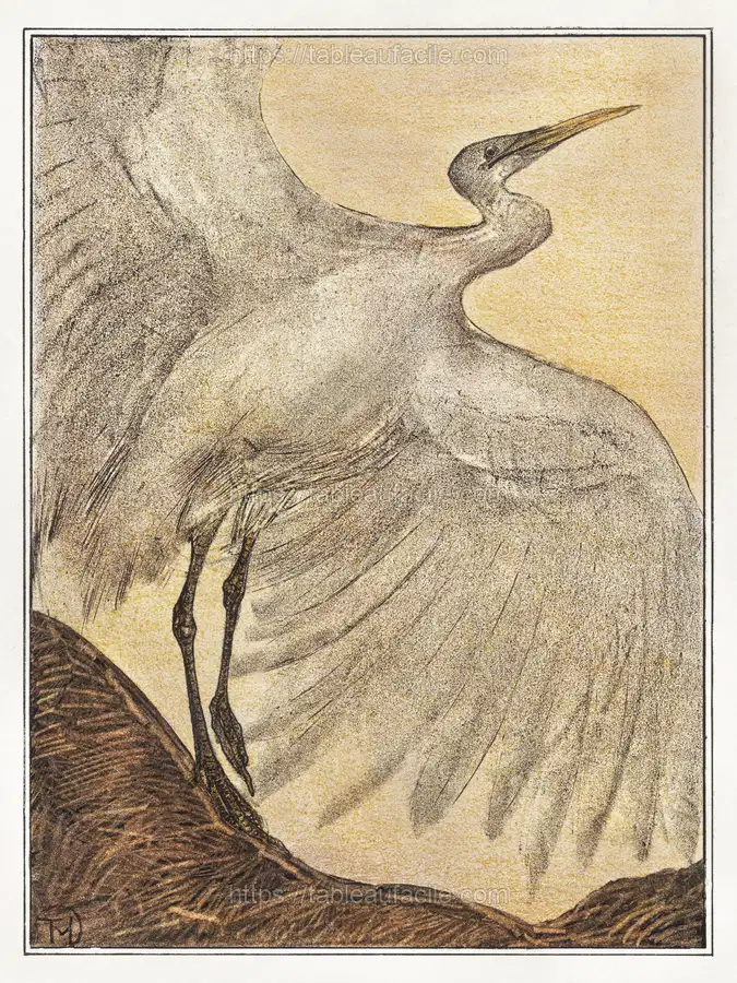 Zilverreiger (1878–1905) by Theo van Hoytema apercu