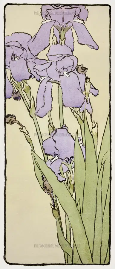 Iris (1915) by Hannah Borger Overbeck apercu
